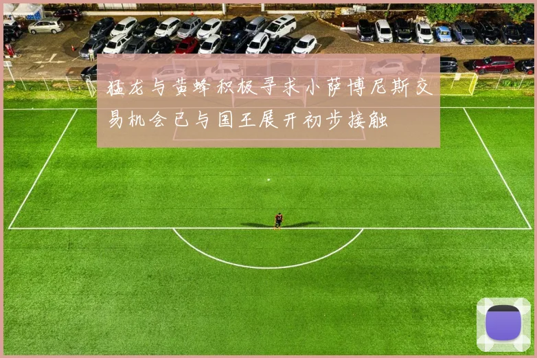 猛龙与黄蜂积极寻求小萨博尼斯交易机会已与国王展开初步接触