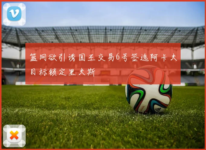 篮网欲引诱国王交易6号签选阿卡夫目标锁定里夫斯